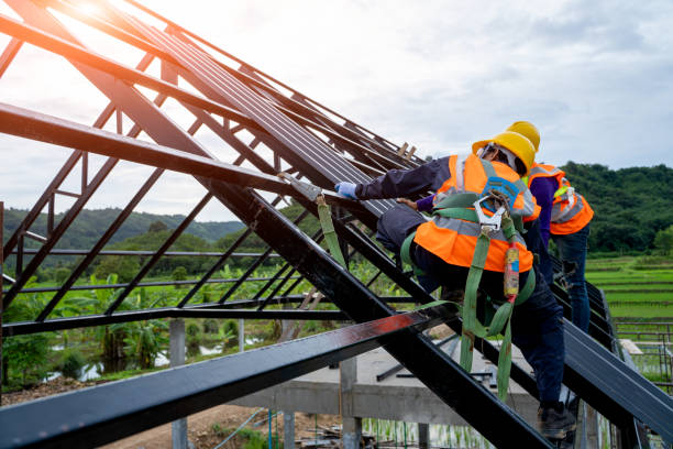 Best Sealant for Roof  in Bushland, TX