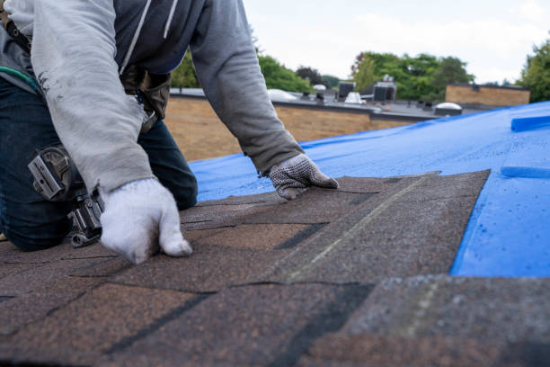 Best Roof Waterproofing Services  in Bushland, TX