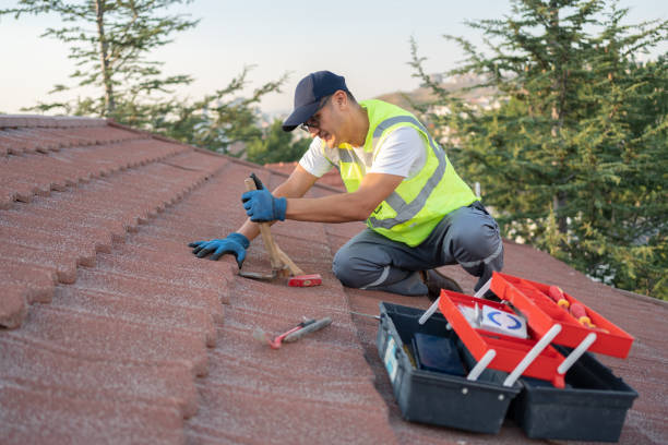 Best Flat Roof Repair Services  in Bushland, TX