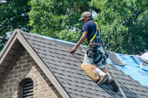 Best Gutter Installation and Roofing  in Bushland, TX